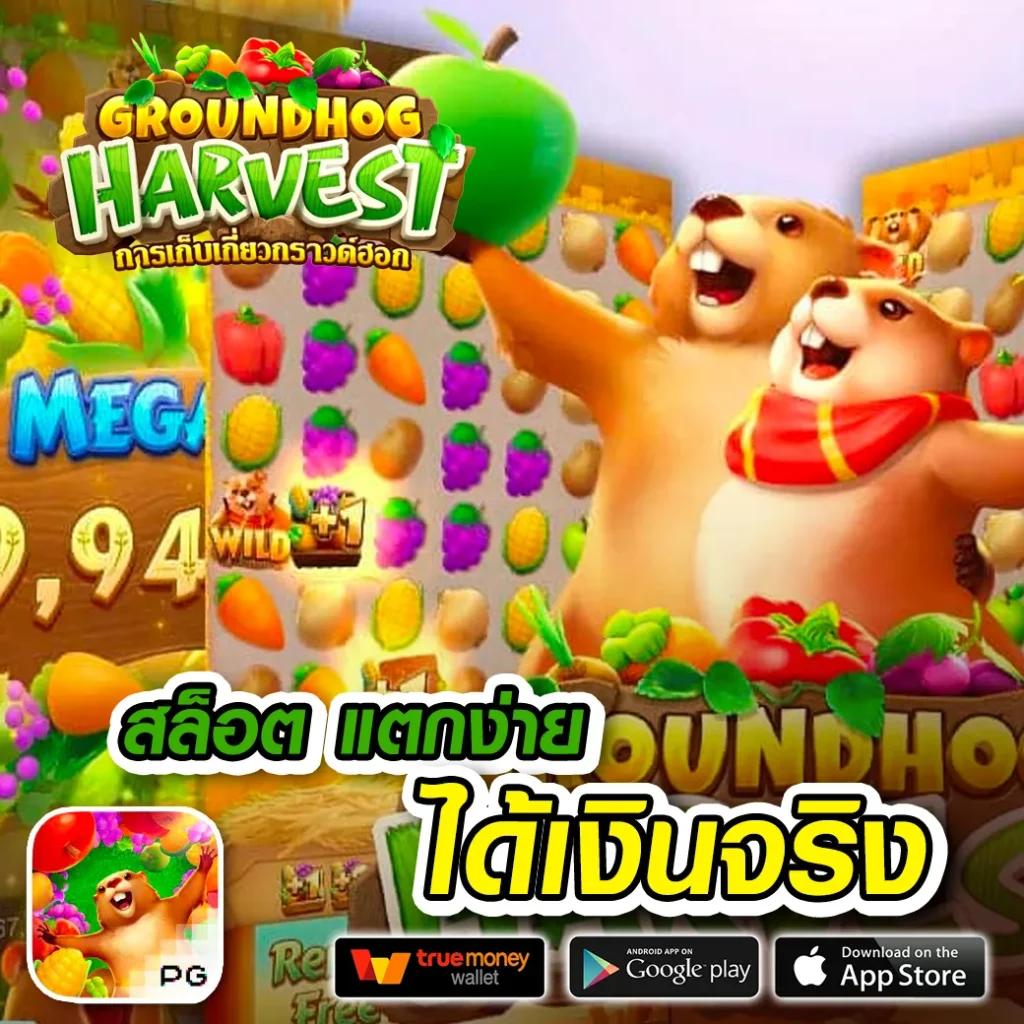 พร้อมให้บริการเกมสล็อตระดับพรีเมียมจาก Premium Gold สล็อต เล่นง่ายได้เงินเร็ว